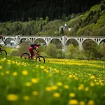 Zum Hohen Eimberg Willingen (Upland)