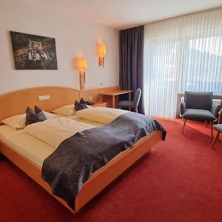 Hotel Zum Hohen Eimberg Willingen (Upland)
