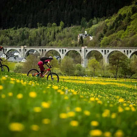 Sporthotel Zum Hohen Eimberg Willingen (Upland)